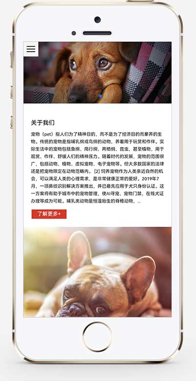(自适应移动端)html5响应式宠物猫狗饲养饲料企业网站手机端模板展示图片