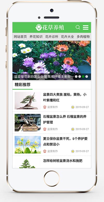 (PC+手机版)花卉植物盆景种植资讯文章网站源码手机端展示图片
