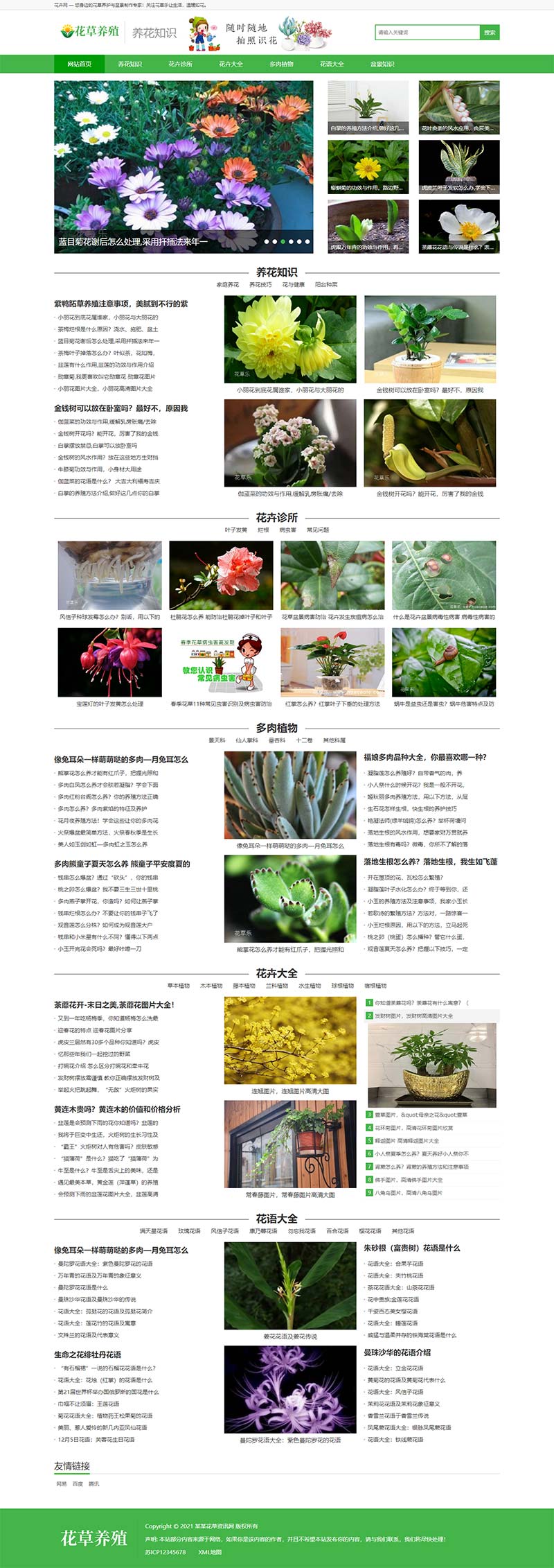 (PC+手机版)花卉植物盆景种植资讯文章网站源码电脑端展示图片