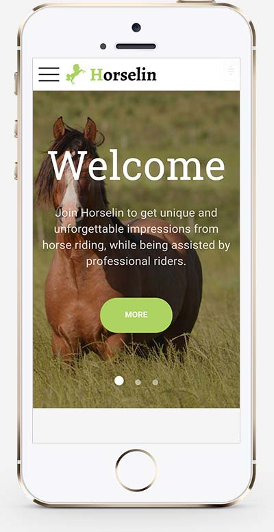 (自适应手机端)html5响应式养马场畜牧业外贸网站源码模板手机端展示图片