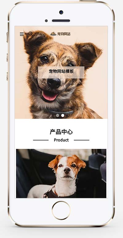 (自适应手机端)html5响应式宠物商店宠物行业类型网站源码手机端展示图片