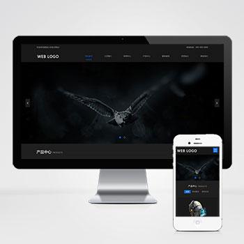 (自适应手机端)html5响应式高端黑色炫酷电子设备数码产品网站源码