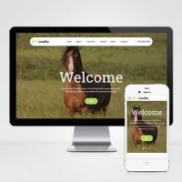 (自适应手机版)html5响应式养马场畜牧业外贸网站源码模板